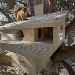 Double Entry Retreat