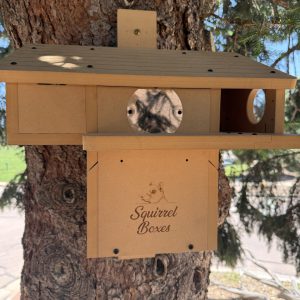 Double Entry Retreat