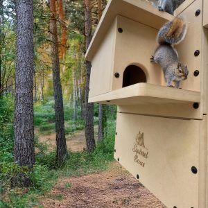 Watchtower Drey Squirrel Camera Box