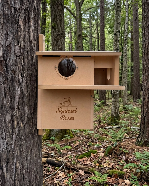 Squirrelboxes-economy-lodge-product-gallery-front-02 - Squirrel Boxes