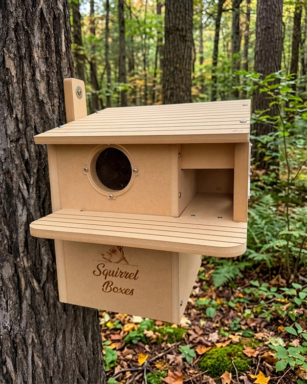 Squirrelboxes-economy-lodge-product-gallery-front-03 - Squirrel Boxes