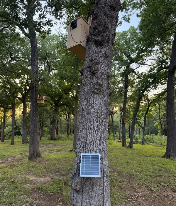 Squirrel Box Solar Panel