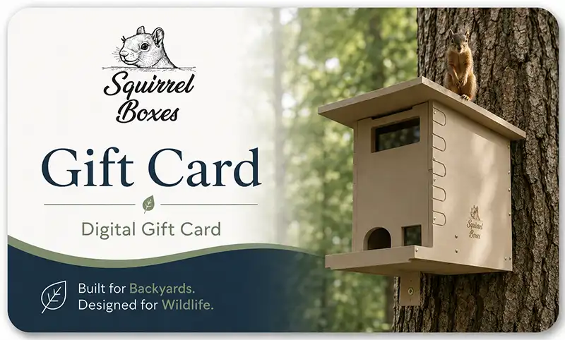 squirrel_boxes_gift_card_product_image - Squirrel Boxes Gift Card design for Squirrel Boxes featuring a tree-mounted wooden feeder and forest background.