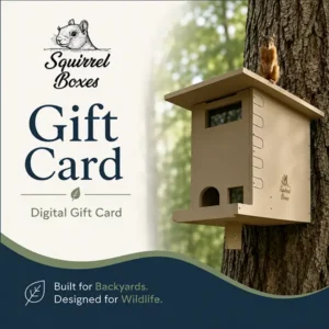Squirrel Boxes gift card advertisement with a wooden birdhouse on a tree and a squirrel perched on top.