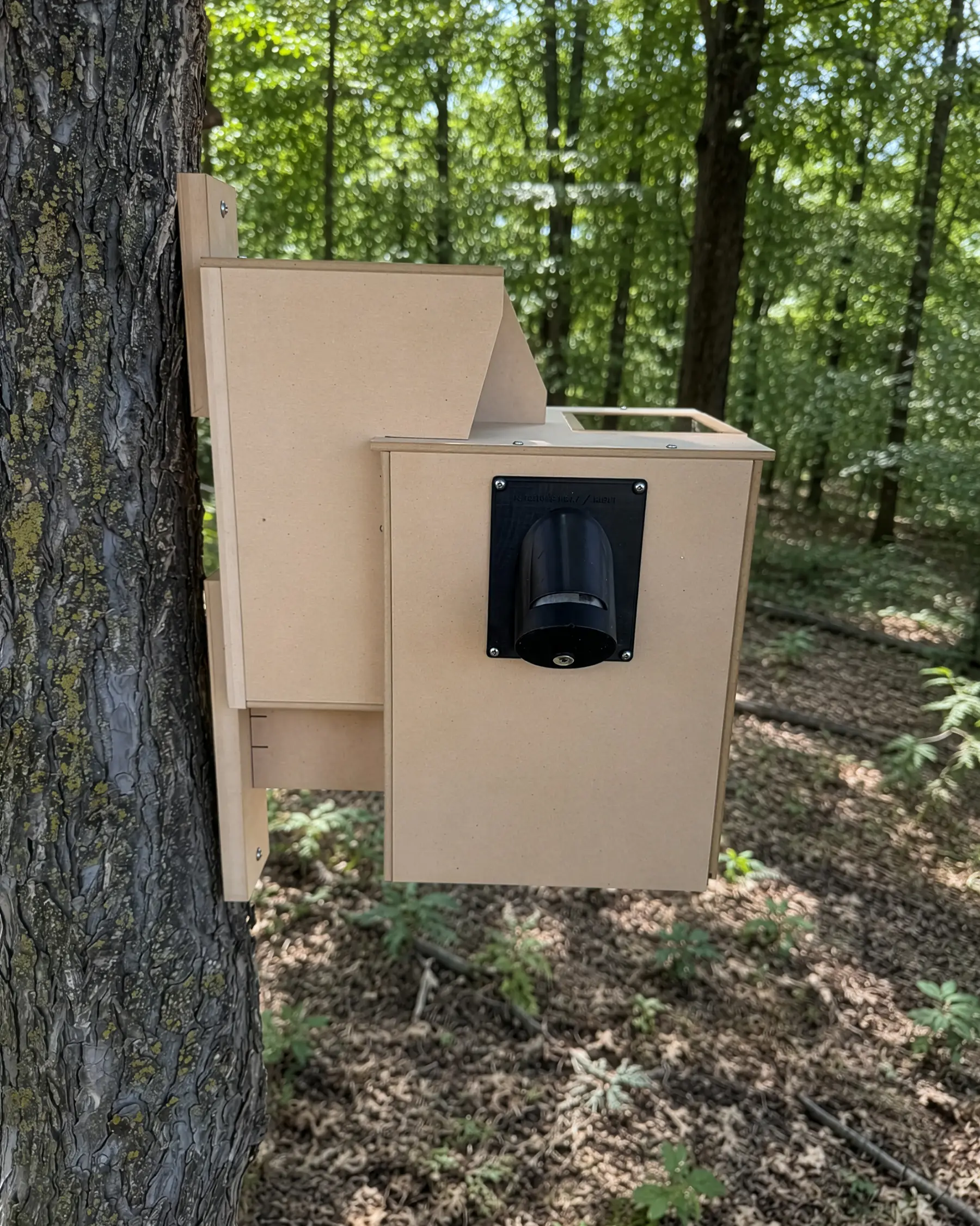 The Nutsonian - Image 11