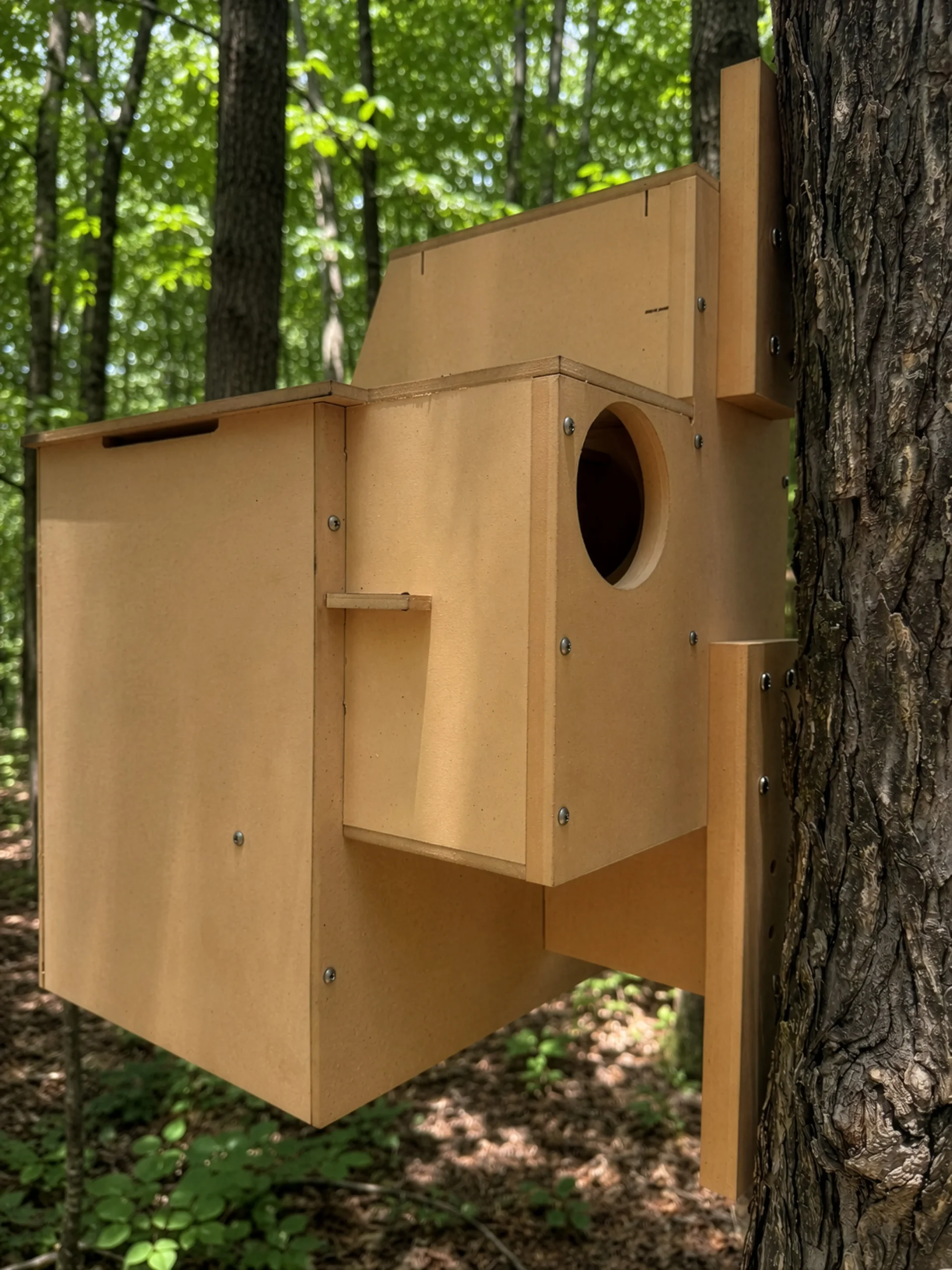 Large wooden nesting box attached to a tree in a forest, featuring a circular entrance hole and weathered screws.