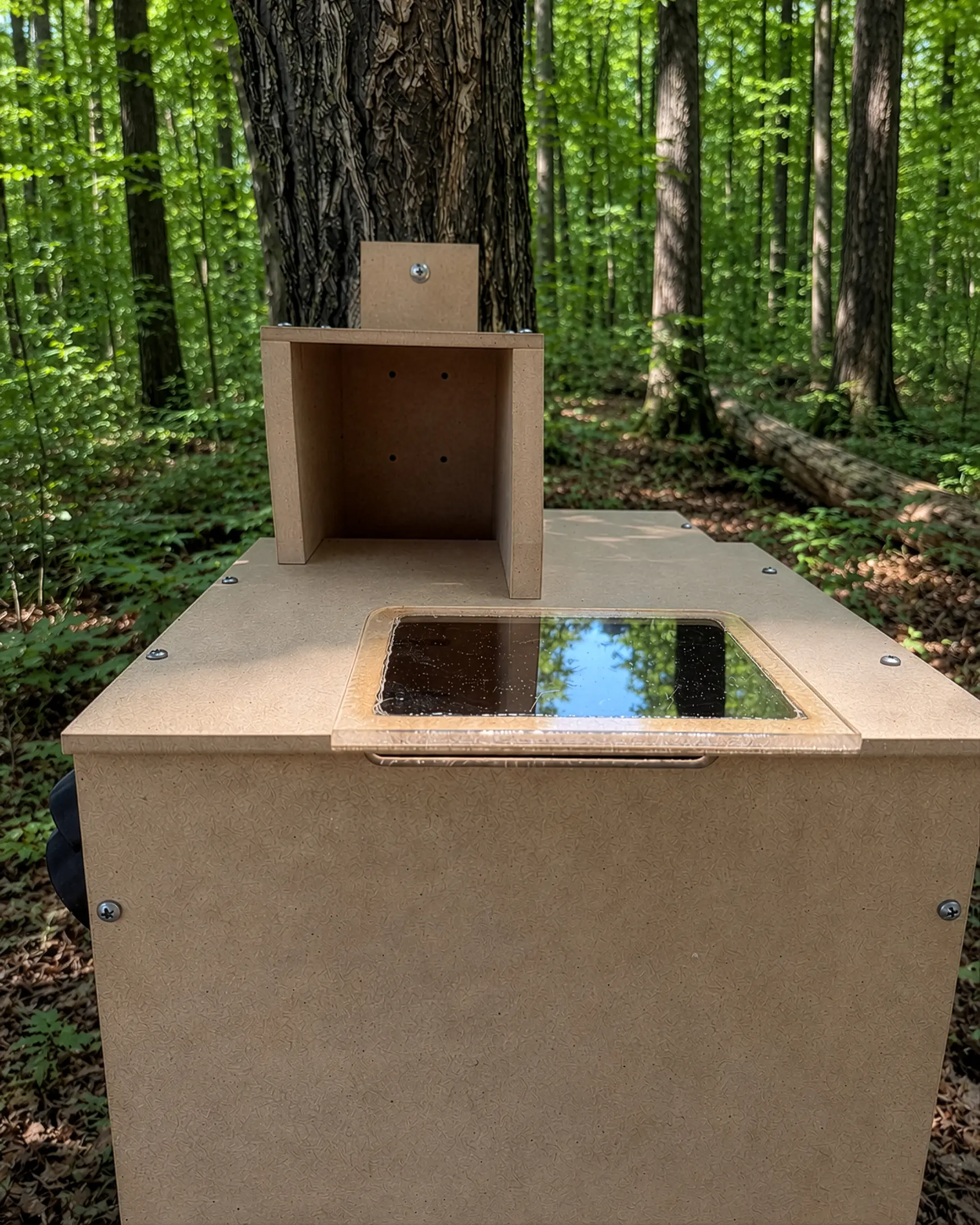 Beige wooden display cabinet on a table in a forest, with a large tree trunk in the background.