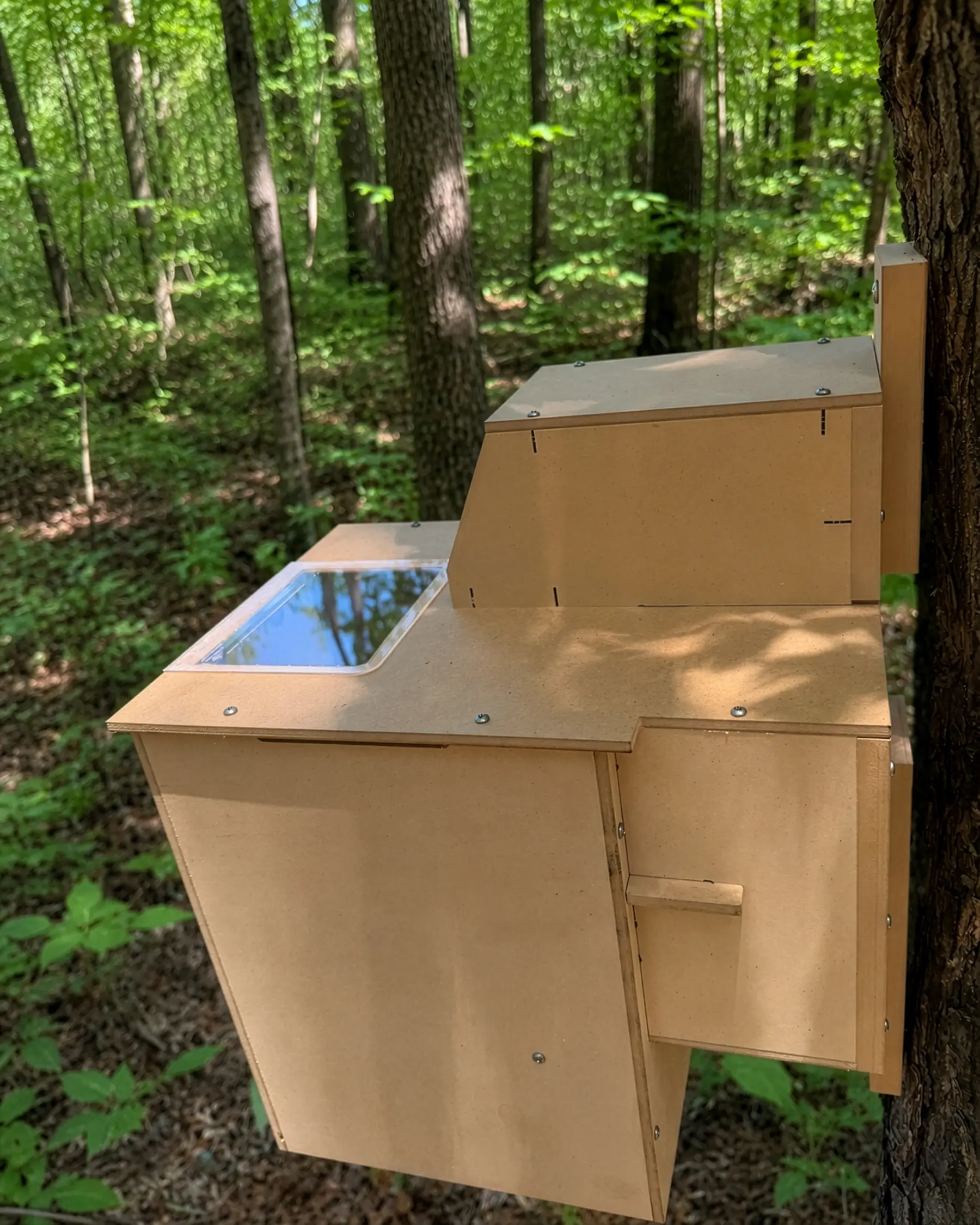 Beige wooden beehive boxes attached to a tree in a lush green forest? with sunlight filtering through leaves.